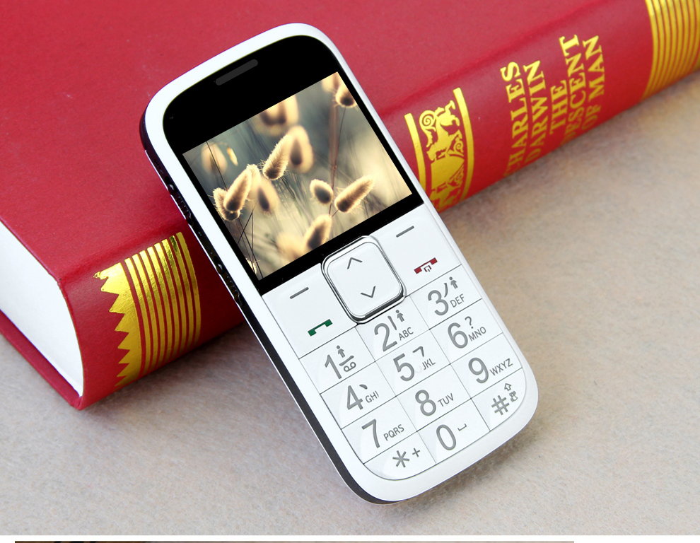 
                                        守护宝（上海中兴）L530G 移动/联通2G 老人手机 黑色                
