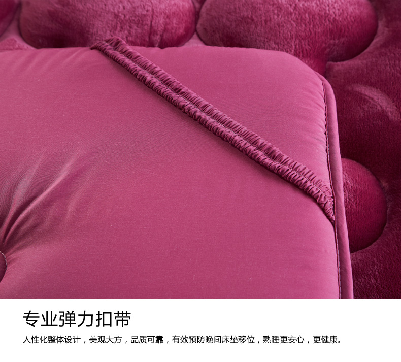 
                                        梦琉璃家纺旗舰店 床垫 法莱绒加厚软床垫 床褥 垫被 单人双人学生海绵床垫 烟灰 100cm*200cm                