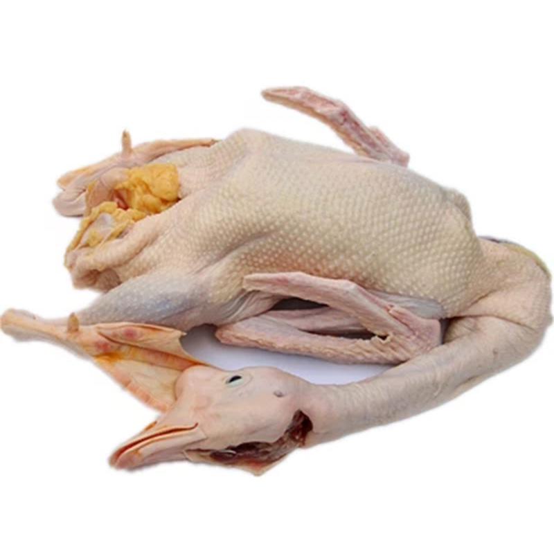 恬女神新鲜整只大鹅鹅肉农家散养土鹅大白鹅杀好净重约3kg只一只装