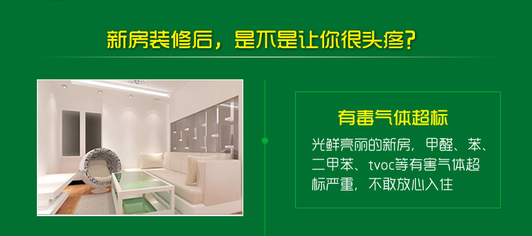 
                                        
                                                            绿驰 装修除味一喷净 新房装修家具甲醛清除剂 植物型除甲醛苯去油漆味 空气净化喷雾剂500ml                