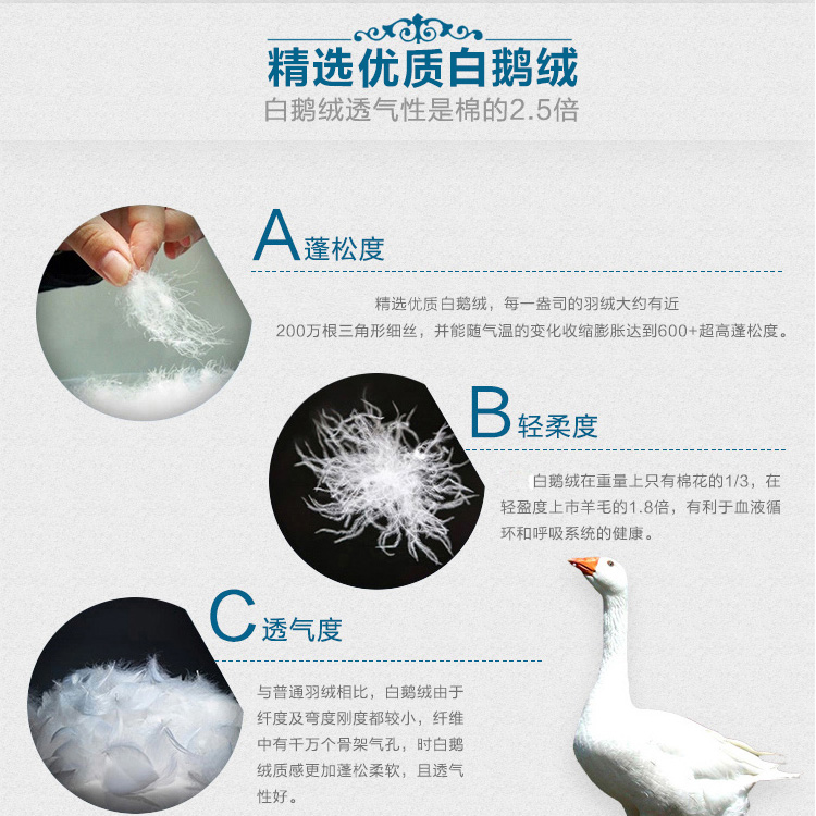 帝菲雅  羽绒枕头绣花羽绒枕芯 五星级酒店鹅绒枕芯 绣边枕(单个装) 74x48cm