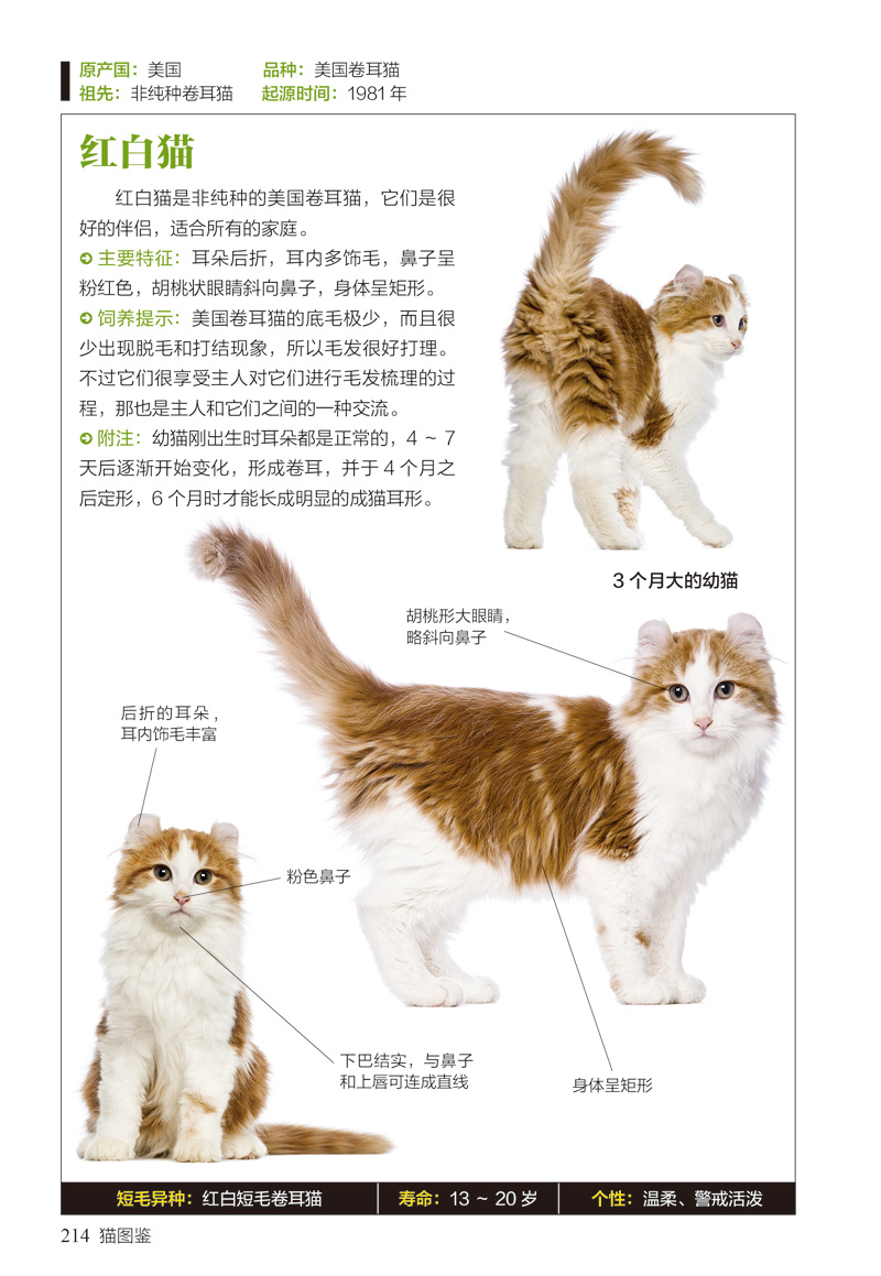 图鉴珍藏丛书 猫图鉴 179种纯种猫的特征习性 文字图