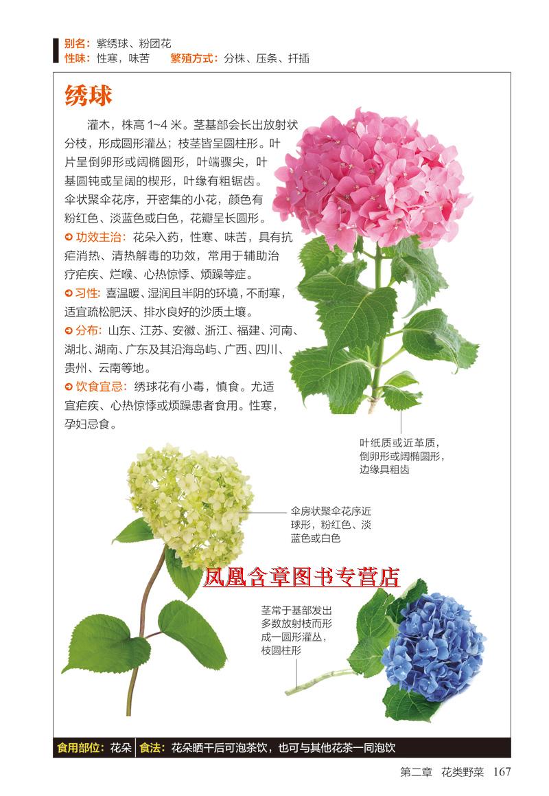 野菜图鉴 :257种野菜的特征与识别 野菜知识 采摘和食用野菜