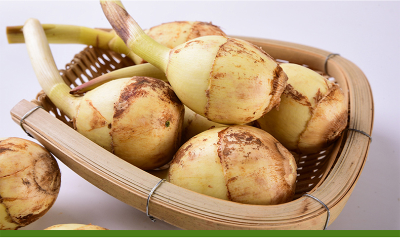 农家慈姑白茨菇慈菇茨菰马蹄新鲜蔬菜 5kg