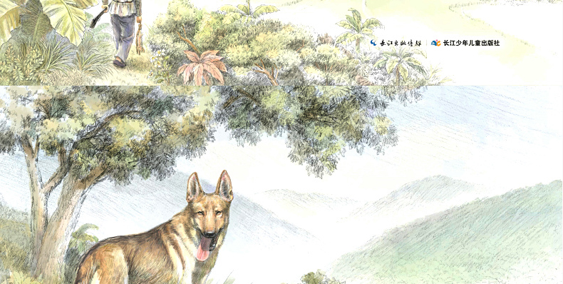 正版沈石溪画苦豺制度全套10册 第七条猎狗/后一头战象/白象家族/红