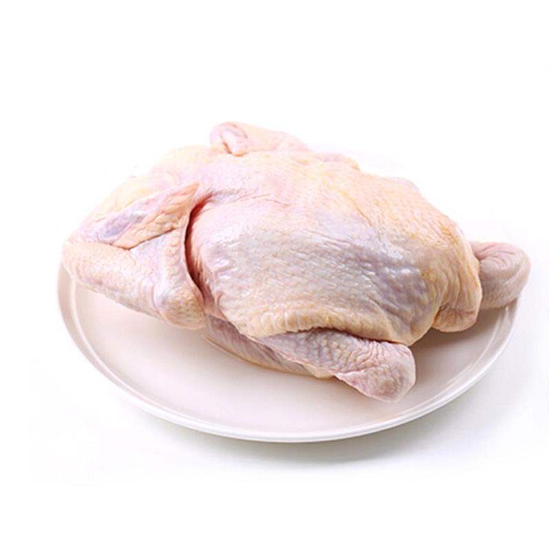 春光岛生鲜三黄鸡鸡肉整鸡鲜鸡土鸡草鸡走地鸡柴鸡一只约2斤