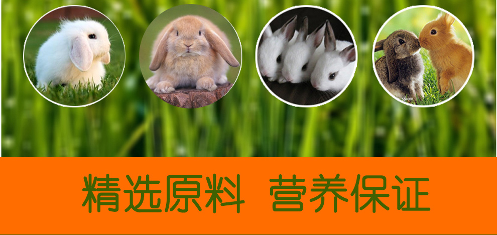 商品名称:宠物食品 天然兔草1kg  凯莉高蛋白兔粮1kg 兔子苜蓿草覆葺