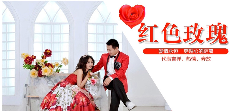 
                                                            昌辉（Changhui） 昌辉水晶珠帘门帘客厅帘子门帘隔断客厅卧室隔断浪漫玫瑰窗帘玫瑰 其他 定做一米一条拍前联系客服                