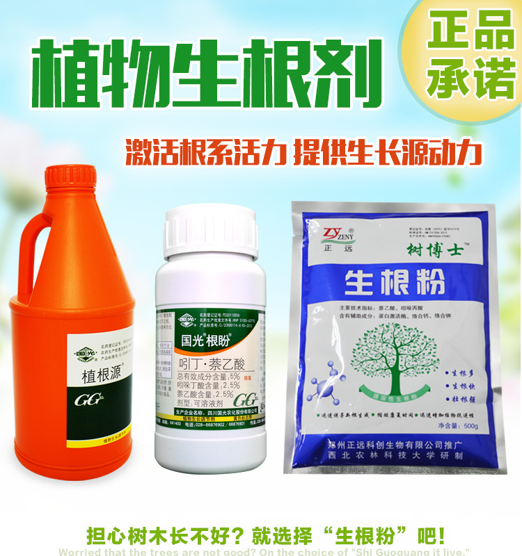 国光生根剂 根盼多肉生根液 插播生根剂芽根多 生根壮苗剂扦插 正远