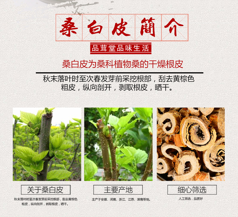 品茸堂 桑白皮 桑根皮 老桑树根皮 白桑皮 桑白皮500g