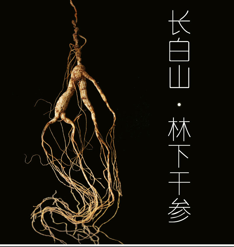 【年货盛典】栢晟 林下参 长白山林下干参 野山参 生晒参 保鲜参 泡酒