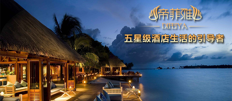 帝菲雅  羽绒枕头绣花羽绒枕芯 五星级酒店鹅绒枕芯 绣边枕(单个装) 74x48cm