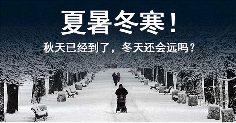 俏情芬2015秋冬款大码女装领长袖网纱加绒加厚蕾打底衫上衣603# 黑色 XXXL