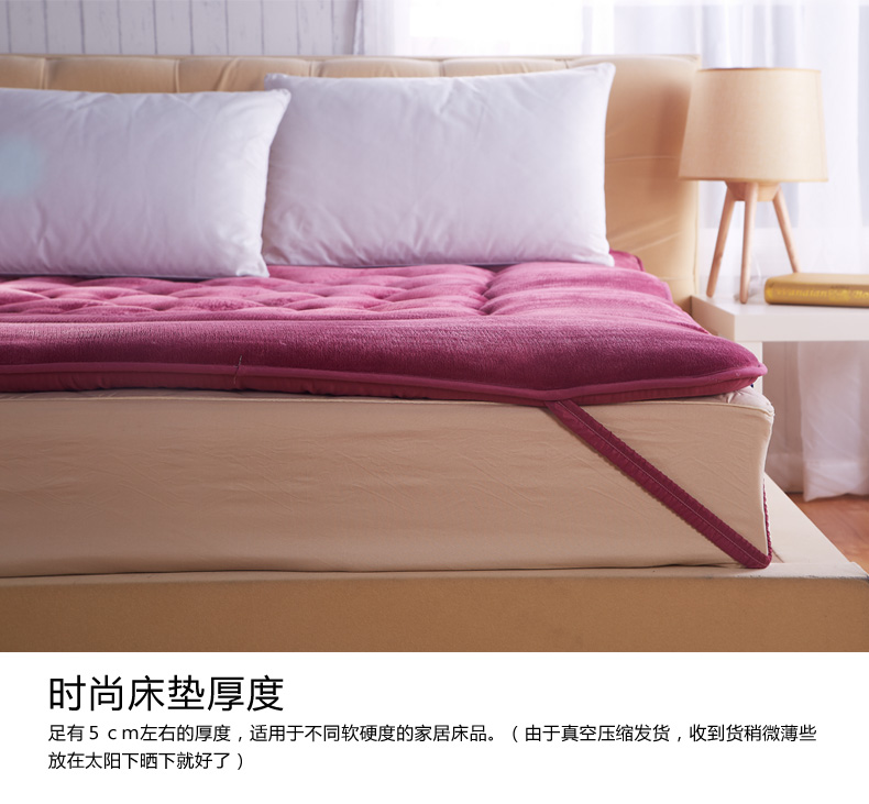 
                                        梦琉璃家纺旗舰店 床垫 法莱绒加厚软床垫 床褥 垫被 单人双人学生海绵床垫 烟灰 100cm*200cm                