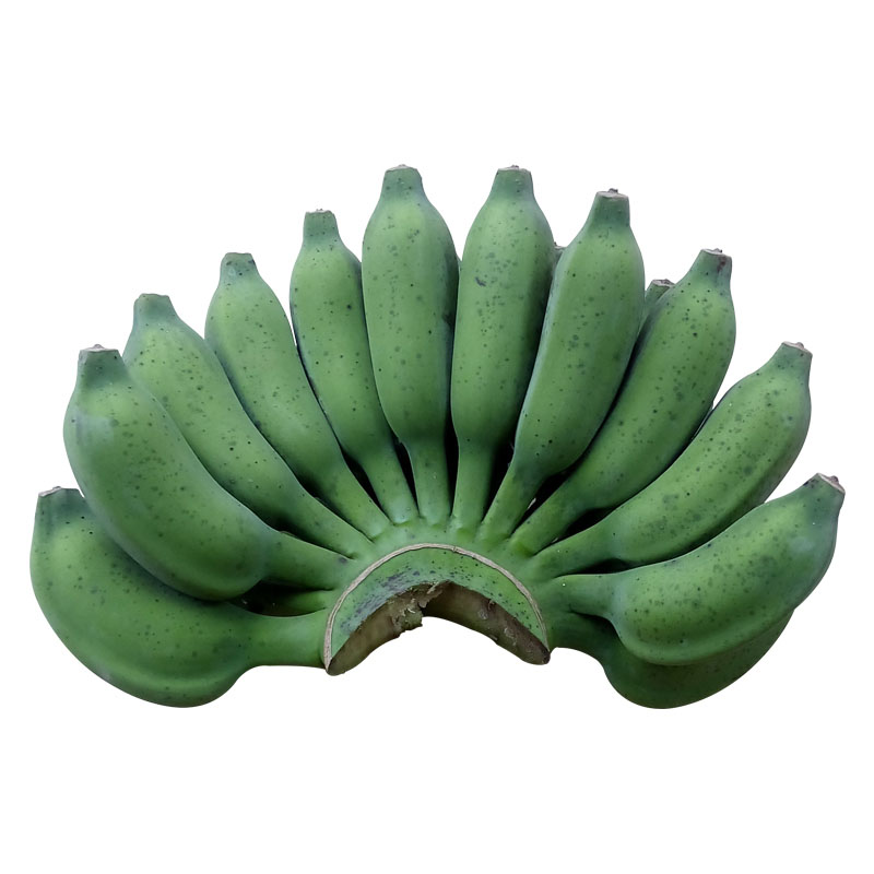 恬女神 生鲜小米蕉 新鲜香蕉 小米香蕉 小香蕉 小鸡蕉青香蕉 4kg