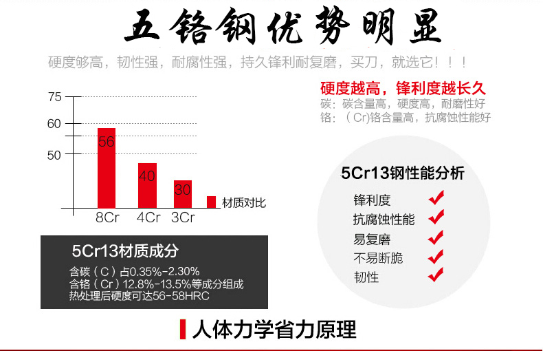 
                                        楚家刀（chujiadao） 手工锻打不锈钢切片刀厨房轻巧女士菜刀 家用菜刀 小号菜刀                