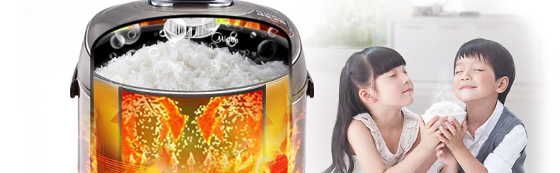 美的（Midea）电饭煲 MB-FZ4087B 4L/4升 IH高端涡轮微压力电饭锅 巧克力色