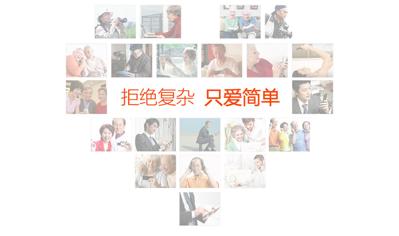 
                                        中兴（ZTE）L530G 移动/联通2G 老人手机 黑色 老年版                