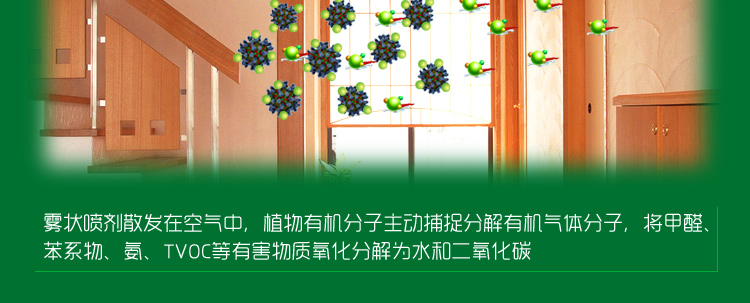 
                                        
                                                            绿驰 装修除味一喷净 新房装修家具甲醛清除剂 植物型除甲醛苯去油漆味 空气净化喷雾剂500ml                