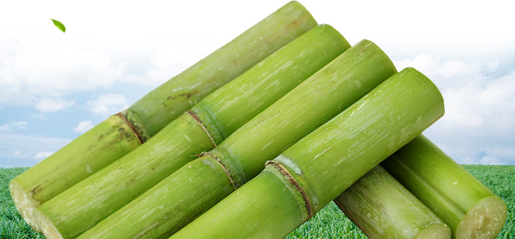 莘县馆陶山甘蔗新鲜水果青皮甘蔗现货速发25kg