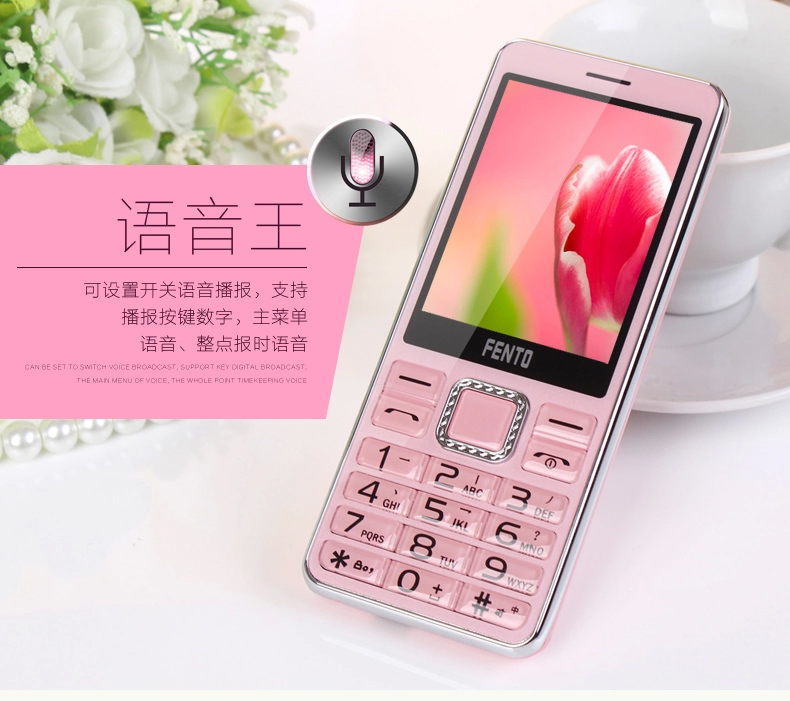 锋达通 FT C616 电信2G直板老人手机 金色