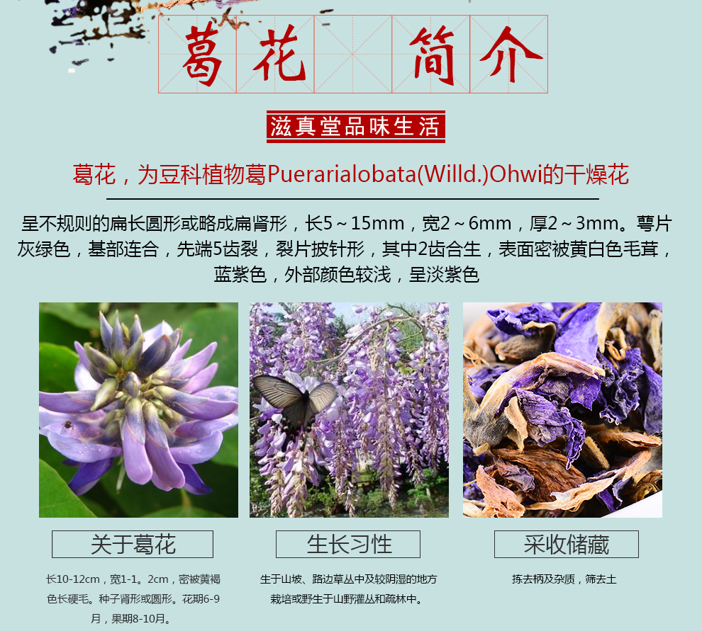 滋真堂葛根花干葛花葛花茶花草茶葛花500g 图片价格品牌报价 京东