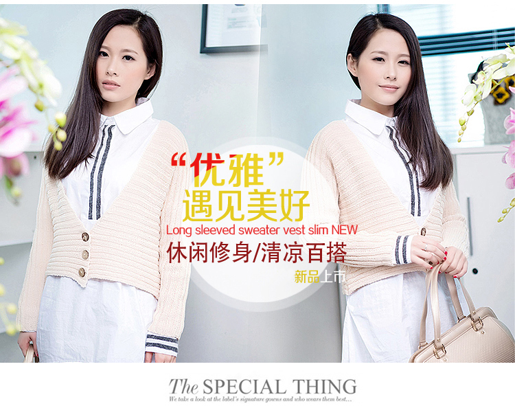 佳美朵2016新款休闲百搭长袖针织衫坎肩修身外搭背心8806# 图片色 均码