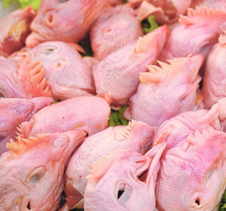 源外园 新鲜鸡头 生鲜鸡头凤头 生鸡冠带凤头 4斤【图片 价格 品牌