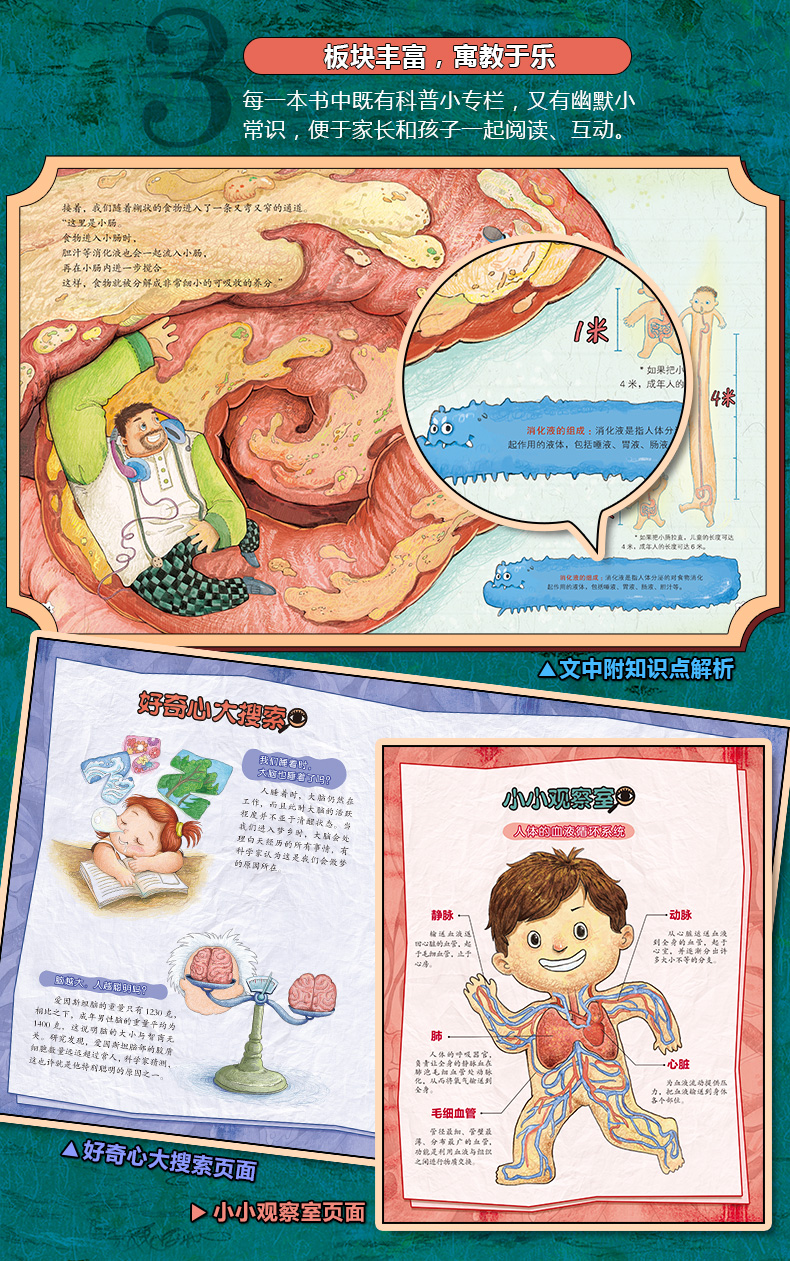 小身體大秘密全套4冊兒童繪本0-3-6週歲 正版幼兒園小班中班大班圖畫