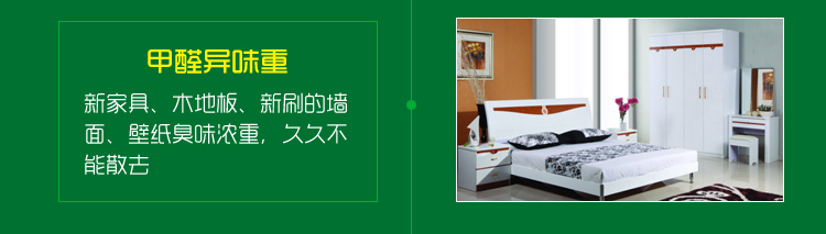 
                                        
                                                            绿驰 装修除味一喷净 新房装修家具甲醛清除剂 植物型除甲醛苯去油漆味 空气净化喷雾剂500ml                