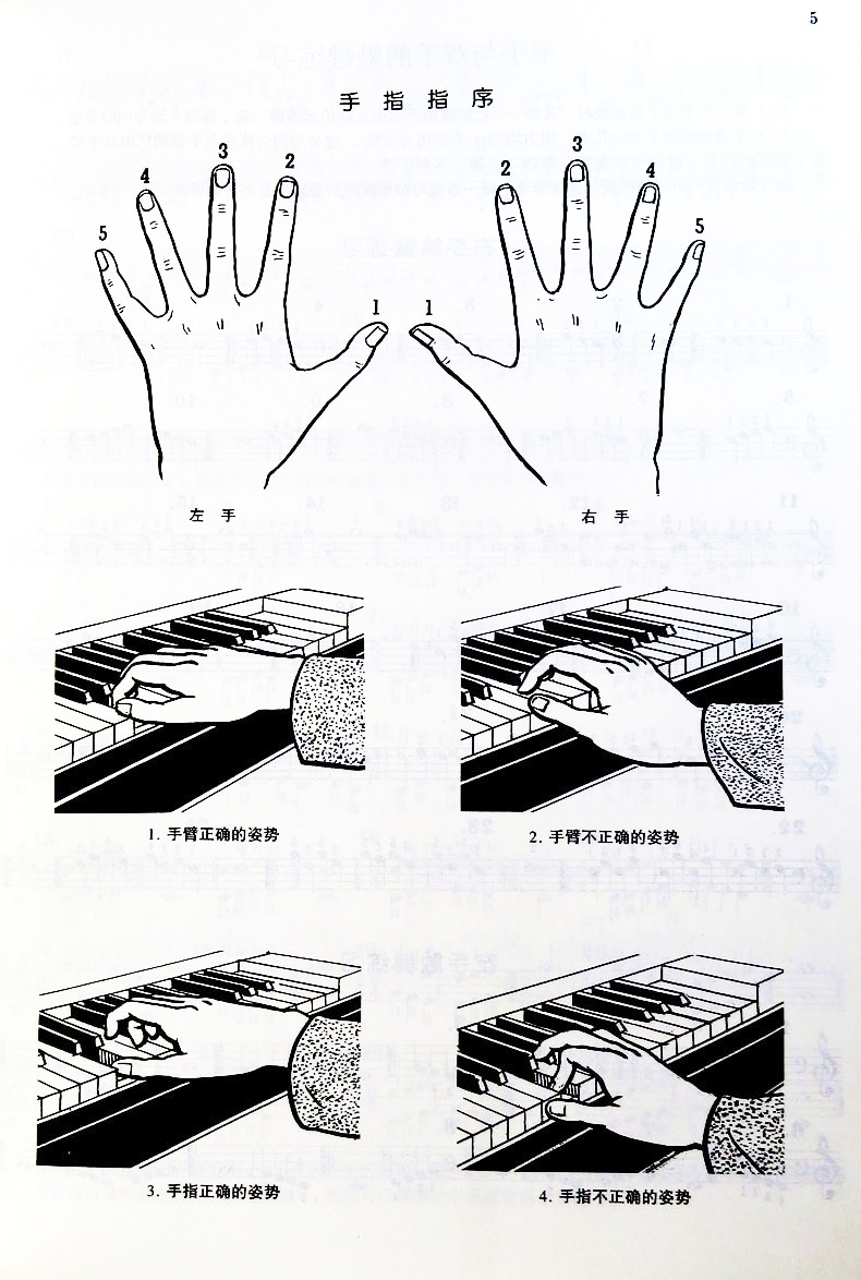 現貨【七年藝術老店】正版共3冊哈農鋼琴練指法 拜厄鋼琴基本教程 車