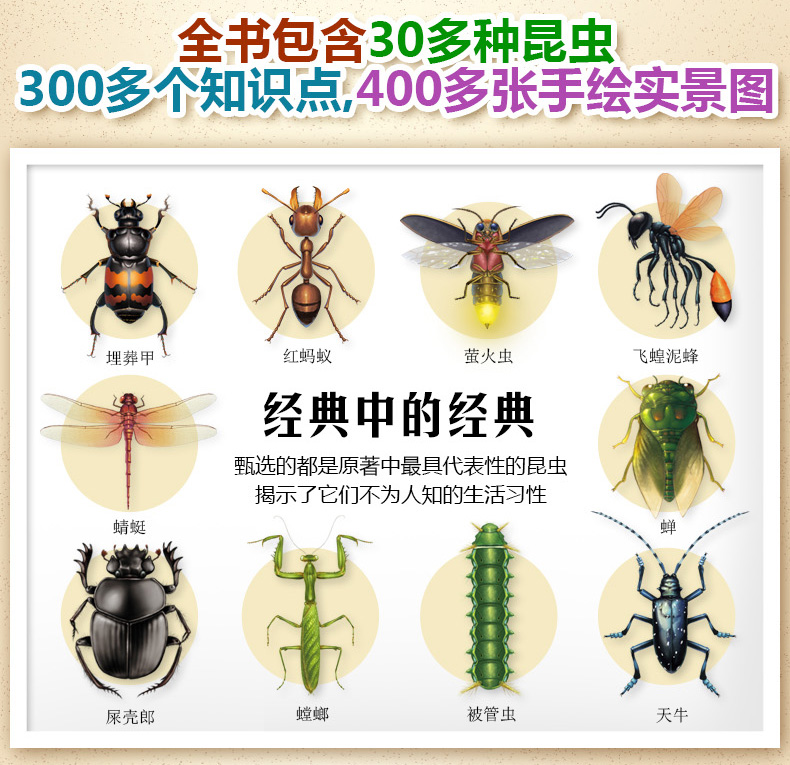 法布尔昆虫记科普绘本全套10册 用生命歌唱的蝉 畅销青少年动物科普