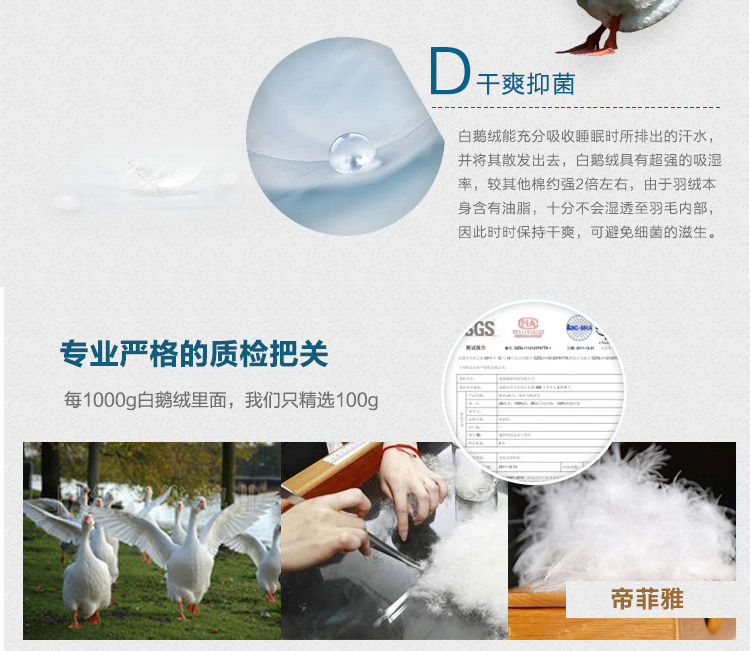 帝菲雅  羽绒枕头绣花羽绒枕芯 五星级酒店鹅绒枕芯 绣边枕(单个装) 74x48cm