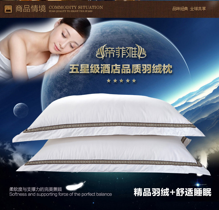帝菲雅  羽绒枕头绣花羽绒枕芯 五星级酒店鹅绒枕芯 绣边枕(单个装) 74x48cm