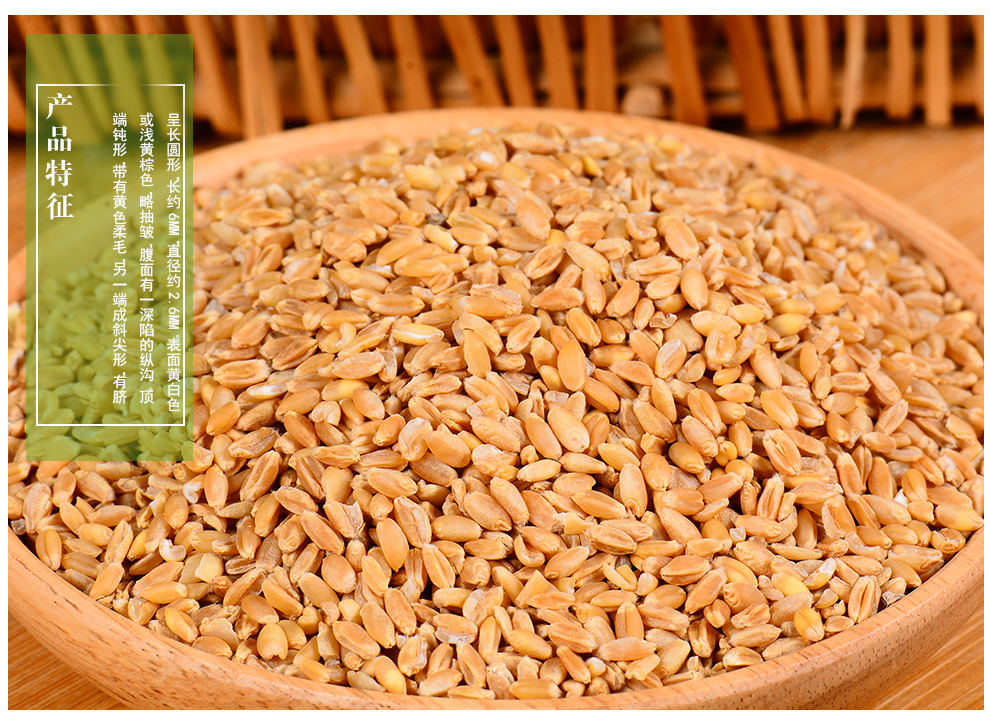 年货盛典敬贤堂浮小麦小麦茶浮小麦茶浮小麦米浮小麦炒酸枣仁各250g