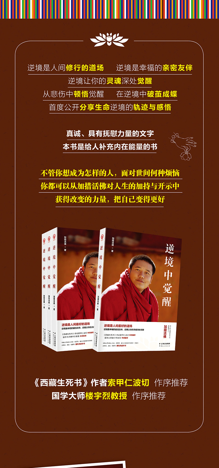 正版 逆境中觉醒 加措活佛 西藏生死书作者索甲仁波切推荐 佛学宗教