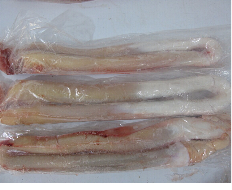 鱼姐海成 牛鞭新鲜黄牛鞭冷冻牛生殖器牛茎粗壮山东特色烧烤煲汤500g