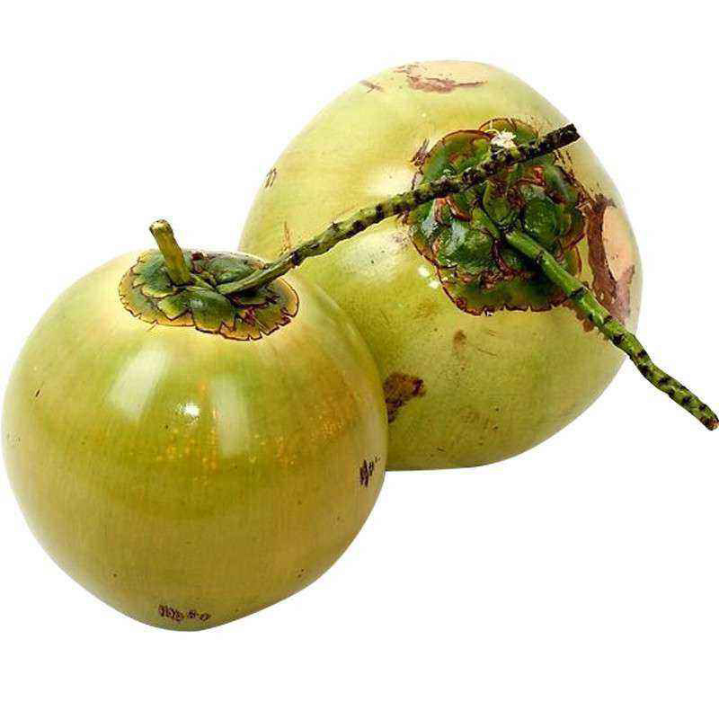 维桑 海南青椰子 椰青 椰子汁 带皮青椰 新鲜椰汁新鲜水果 6个装