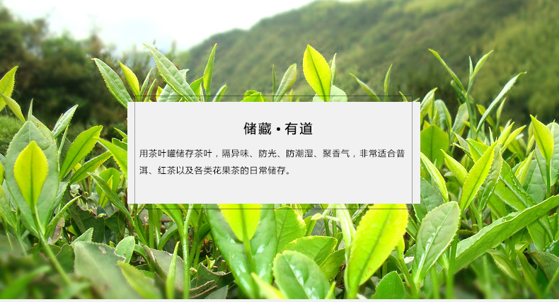 
                                        康韵 龙泉青瓷茶叶罐陶瓷大号密封茶叶罐陶瓷储茶醒茶罐密封储物罐子 青瓷-年年有余茶叶罐                