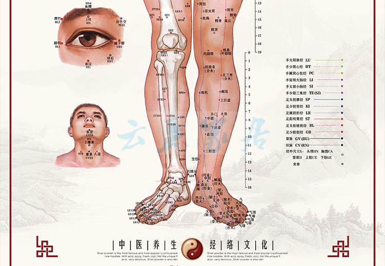 定做艾灸穴位图人体经络穴位图人体穴位图大挂图解全身高清家用针灸男