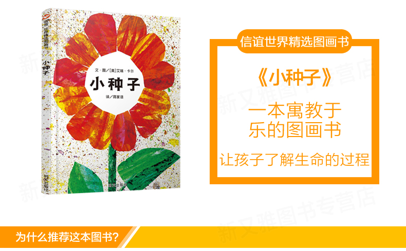 信谊世界精选图画书 小种子(精) 让孩子了解生命过程 儿童绘本图画书0