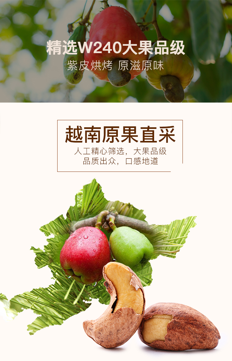 百草味紫皮腰果238g/罐