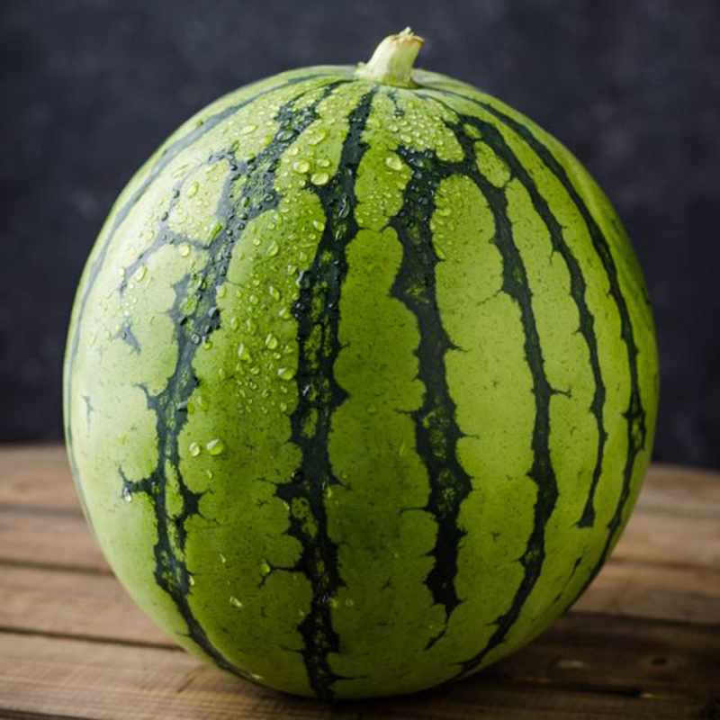 民汇园水果种子西瓜籽8424麒麟瓜花皮圆西瓜籽超甜西瓜籽阳台大田棚室