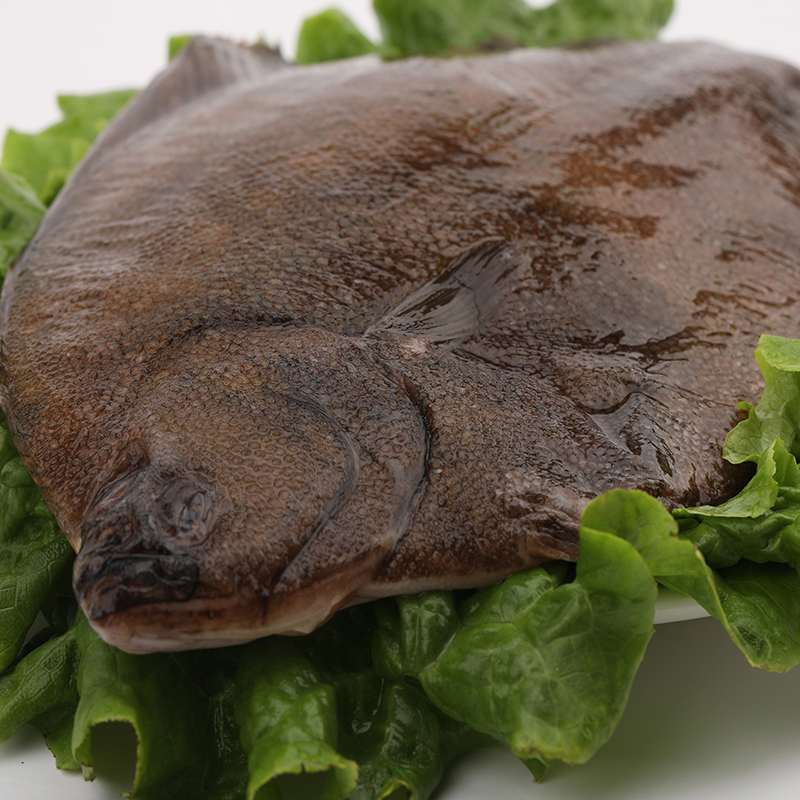 维桑青岛新鲜鸦片鱼 鲜活速冻比目鱼海鱼鲆鱼 新杰大牙片鱼 2kg