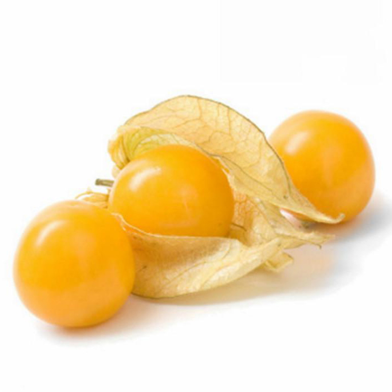 东北菇娘果灯笼果姑娘果新鲜水果 约1kg