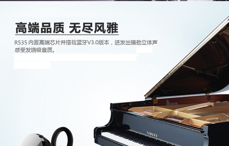乐迈（ROMAN）R535 蓝牙耳机 立体声音乐耳机 黑色 黑白双壳