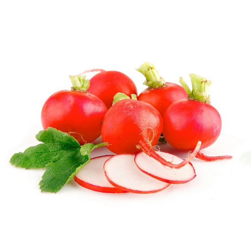 樱桃红丁萝卜种子蔬菜种子蔬菜水果型红樱桃萝卜种籽可阳台盆栽樱桃小