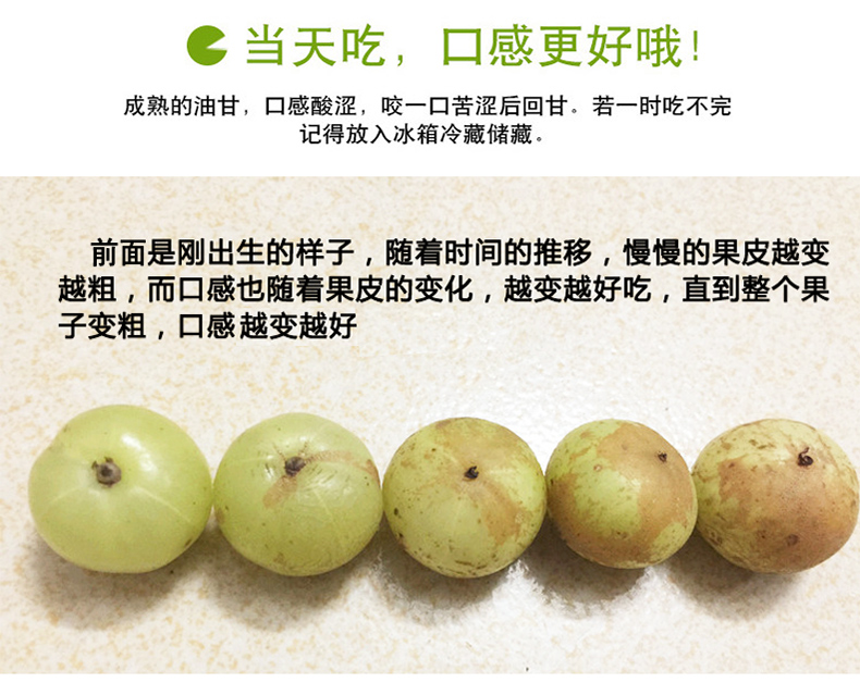 潮汕油甘果牛甘果余甘子果油柑子果新鲜水果青橄榄果滇橄榄500g