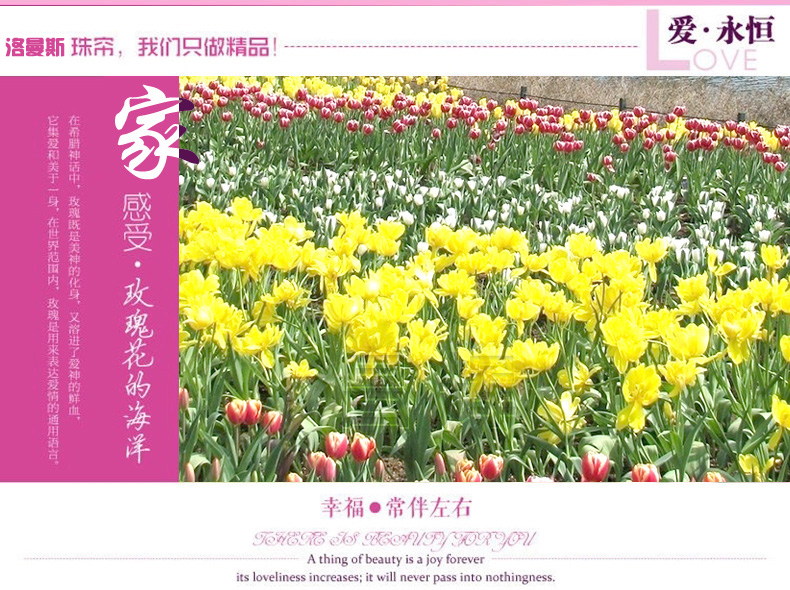 
                                                            昌辉（Changhui） 昌辉水晶珠帘门帘客厅帘子门帘隔断客厅卧室隔断浪漫玫瑰窗帘玫瑰 其他 定做一米一条拍前联系客服                