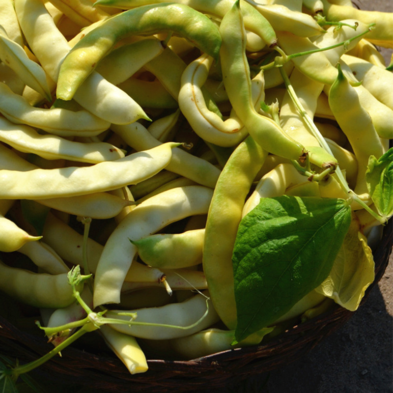 恬女神速冻黄金勾豆角东北黄金钩豆角新鲜速冻黄豆角新鲜速冻蔬菜25kg